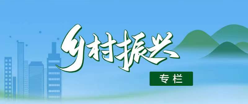 鄉(xiāng)村振興工作專(zhuān)欄